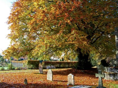 Autumn colours in a graveyard
