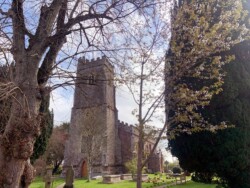 Stoke Canon church